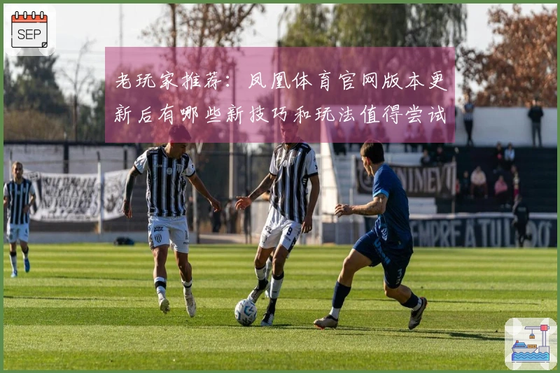 老玩家推荐：凤凰体育官网版本更新后有哪些新技巧和玩法值得尝试？