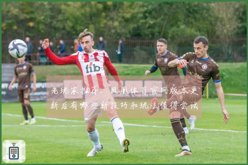 老玩家推荐：凤凰体育官网版本更新后有哪些新技巧和玩法值得尝试？
